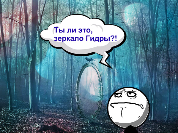 Зайти на кракен через браузер